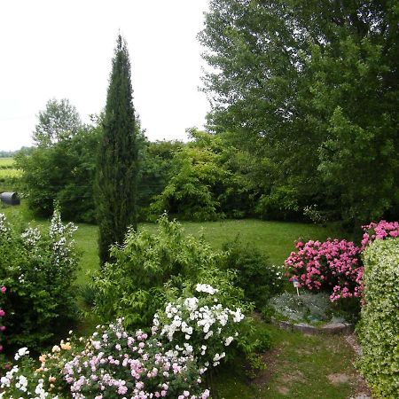 Il Nido Di Rondine Oderzo Exterior foto