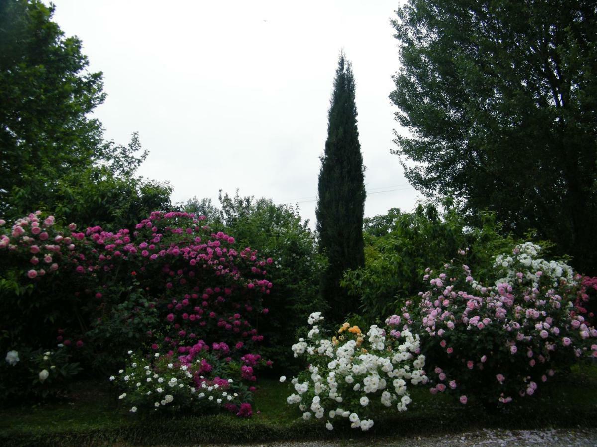 Il Nido Di Rondine Oderzo Exterior foto