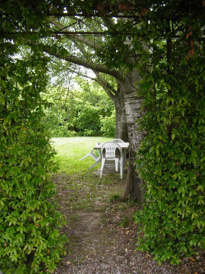 Il Nido Di Rondine Oderzo Exterior foto